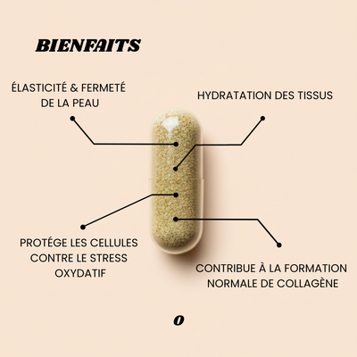 COLLAGÈNE MARIN