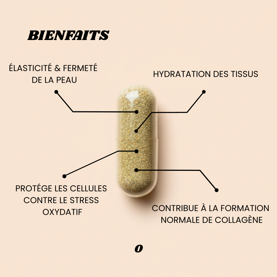 COLLAGÈNE MARIN