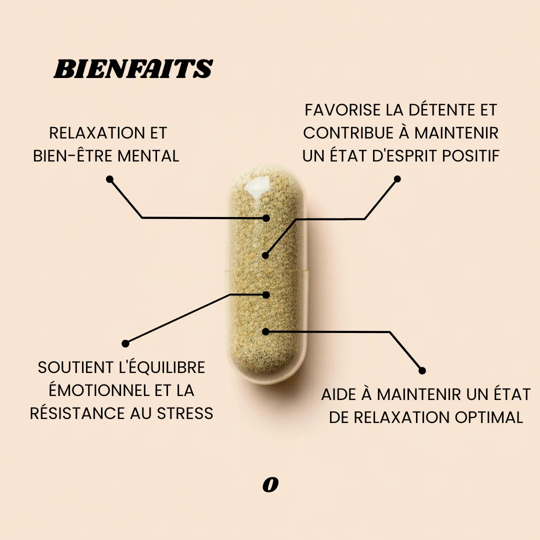 TRANQUILLITÉ