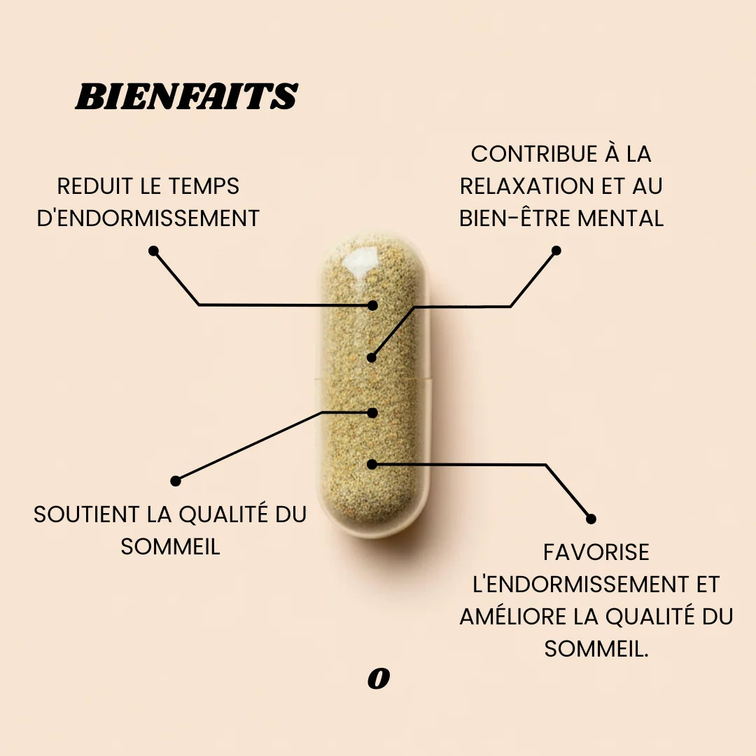SOMMEIL